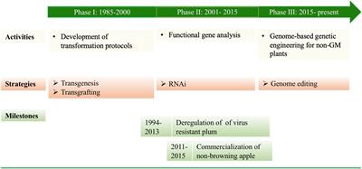 Agrobacterium-Mediated Transformation of Tree Fruit Crops: Methods, Progress, and Challenges